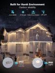 BrizLabs 100ft Smart LED Christmas Music Lights