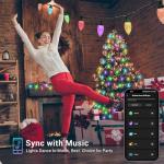 Brizled Color Changing Music Sync Christmas Lights
