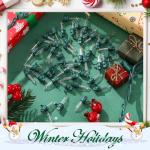 Mudder 60 Count Mini Light Bulbs for Christmas