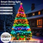 Smart 100 LEDs RGB Fairy Lights with Music Sync