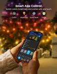 Govee 66ft RGBIC Smart Christmas Lights with Music Sync