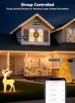 Smart C9 Christmas Lights with Music Sync