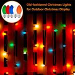 25 Pack C7 Multicolor Christmas Light Bulbs