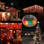 25 Pack C7 Multicolor Christmas Light Bulbs