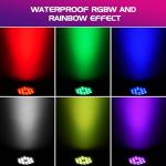 Waterproof RGBW Par Light for Music Shows