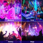 App-Controlled DJ Laser Light for Music Sync