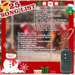 30 Musical Bell String Lights for Christmas Fun