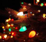 25 Pack C7 Multicolor Christmas Music Sync Bulbs