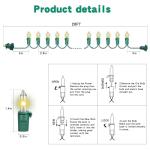 20FT LED Christmas String Lights, 100 Warm White