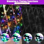 100LED Color Changing Christmas Lights with Remote