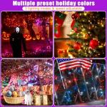 100LED Color Changing Christmas Lights with Remote