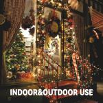 100 Count Multicolor Music Sync Christmas Lights