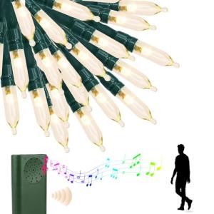 33FT 100LED Music Sync String Lights - Green