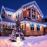 Solar Christmas Lights with 16 Meteor Shower Tubes