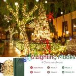 33FT 100LED Music Sync String Lights - Green
