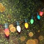 Multicolor C7 Replacement Bulbs - 25 Pack