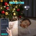 Color Changing Globe String Lights with Remote