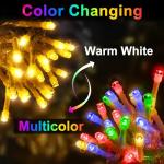 Color Changing Music Sync LED Christmas Lights