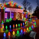 Homeleo Solar C9 Christmas Lights – Music Sync