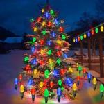 Homeleo Solar C9 Christmas Lights – Music Sync
