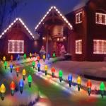 Homeleo Solar C9 Christmas Lights – Music Sync
