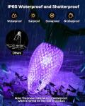 Smart C9 RGB String Lights with Music Sync