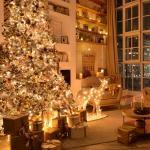 75.8 FT 200 LED Music Sync Christmas Lights