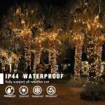 EAMBRITE 82 Ft Christmas Lights with Music