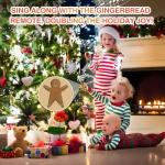 Wireless Remote Control for Christmas Lights with Music