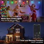 Smart C9 Christmas Lights with Music Sync