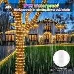 Hozplex 99ft Music Sync LED Rope Lights