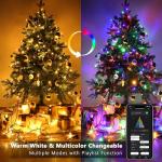 BrizLabs Smart LED Music Sync Christmas Lights 164ft