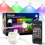BrizLabs 100ft Smart LED Christmas Music Lights