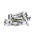 100 LED Rope Light Clips with 200 Screws