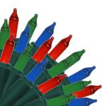 Brite Star 150 Count Music Sync Outdoor Lights