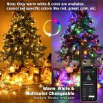 Brizled 66FT Smart Christmas Lights with Music Sync