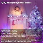 BrizLabs 100 LED Music Sync RGB String Lights