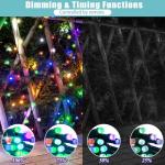 100LED Color Changing Christmas Lights with Remote