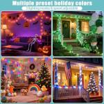 100LED Color Changing Christmas Lights with Remote