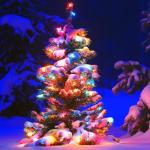 Multi-Color C7 Replacement Bulbs for Christmas Lights