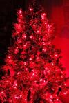 140 Red Musical Christmas Lights with 25 Songs