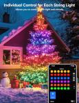 Smart RGB+IC Music Sync String Lights 76ft