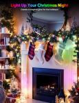 Smart RGB+IC Music Sync String Lights 76ft