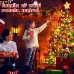 Remote Control for Synchronized Christmas Lights