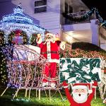 60 LED Christmas Bulbs for Tree Synchronization