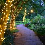 Warm White Mini Light Bulbs for Christmas Decor