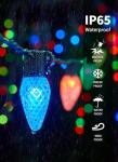 Brightown C9 Music Sync LED Christmas Lights