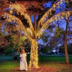 132ft Waterproof Warm White Music Sync Lights