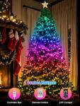 RGB Smart IC String Lights with Music Sync 16FT