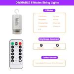Battery Operated LED Curtain Lights with Remote
